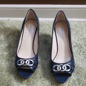 Navy pump